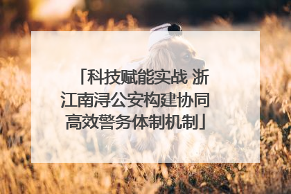 科技赋能实战 浙江南浔公安构建协同高效警务体制机制