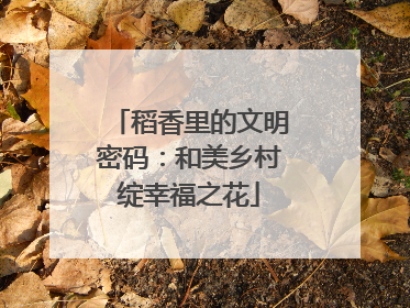 稻香里的文明密码：和美乡村绽幸福之花
