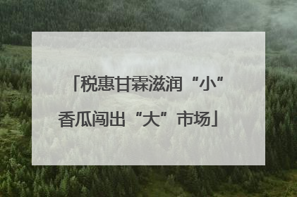 税惠甘霖滋润“小”香瓜闯出“大”市场