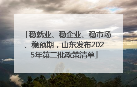 稳就业、稳企业、稳市场、稳预期，山东发布2025年第二批政策清单