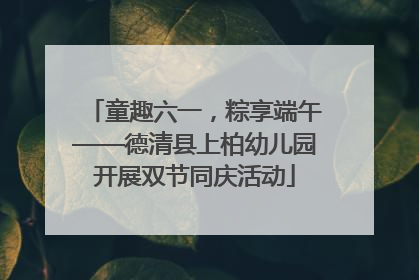 童趣六一，粽享端午——德清县上柏幼儿园开展双节同庆活动
