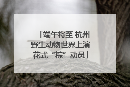 端午将至 杭州野生动物世界上演花式“粽”动员