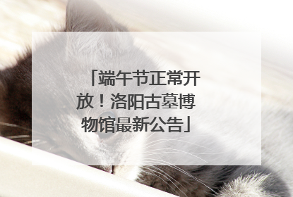 端午节正常开放！洛阳古墓博物馆最新公告