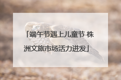 端午节遇上儿童节 株洲文旅市场活力迸发