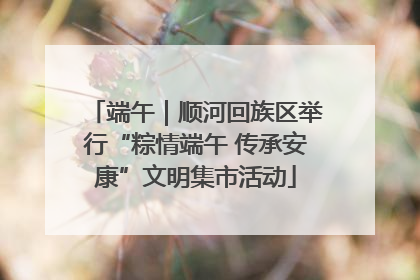 端午｜顺河回族区举行“粽情端午 传承安康”文明集市活动