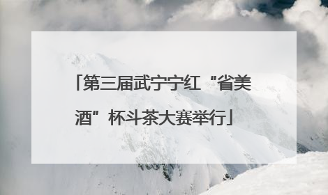第三届武宁宁红“省美酒”杯斗茶大赛举行