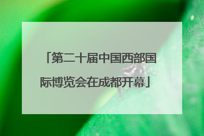 第二十届中国西部国际博览会在成都开幕