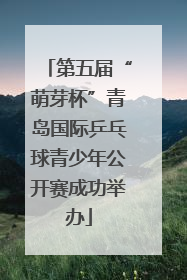 第五届“萌芽杯”青岛国际乒乓球青少年公开赛成功举办