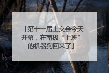 第十一届上交会今天开幕，在南极“上班”的机器狗回来了
