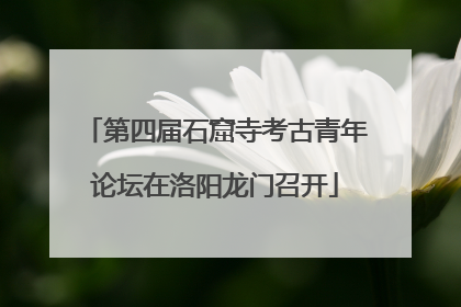 第四届石窟寺考古青年论坛在洛阳龙门召开