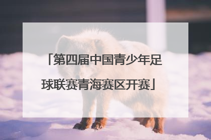 第四届中国青少年足球联赛青海赛区开赛