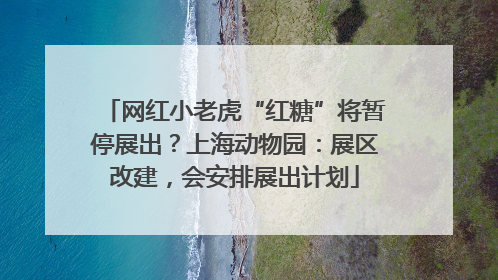 网红小老虎“红糖”将暂停展出？上海动物园：展区改建，会安排展出计划