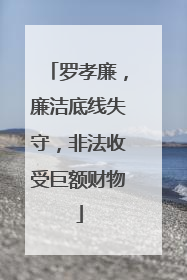 罗孝廉，廉洁底线失守，非法收受巨额财物