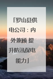 罗山县供电公司：内外兼顾 提升防汛保电能力