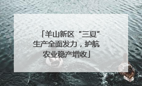羊山新区“三夏”生产全面发力，护航农业稳产增收
