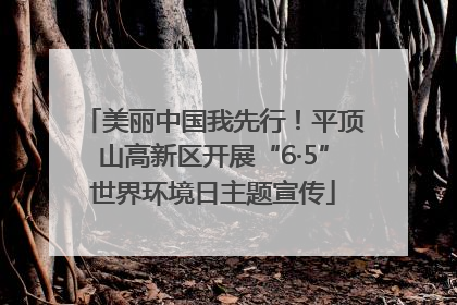 美丽中国我先行！平顶山高新区开展“6·5”世界环境日主题宣传