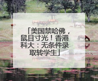 美国禁哈佛，鼠目寸光！香港科大：无条件录取转学生