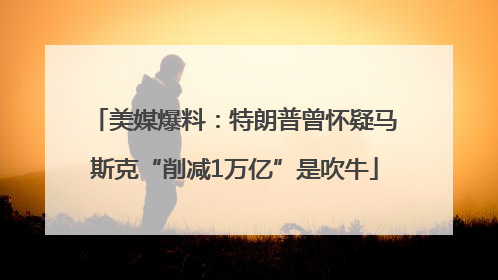 美媒爆料：特朗普曾怀疑马斯克“削减1万亿”是吹牛