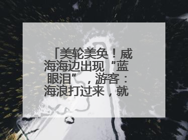 美轮美奂！威海海边出现“蓝眼泪”，游客：海浪打过来，就像星河一样