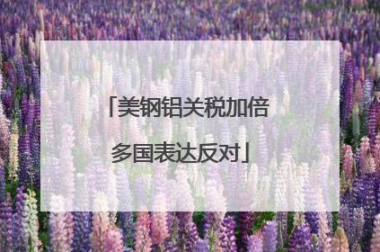 美钢铝关税加倍 多国表达反对