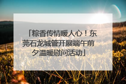 粽香传情暖人心！东莞石龙城管开展端午前夕温暖慰问活动