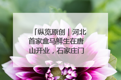 纵览原创｜河北首家盒马鲜生在唐山开业，石家庄门店预计8月开业