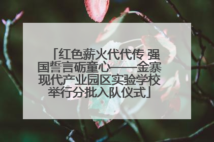 红色薪火代代传 强国誓言砺童心——金寨现代产业园区实验学校举行分批入队仪式