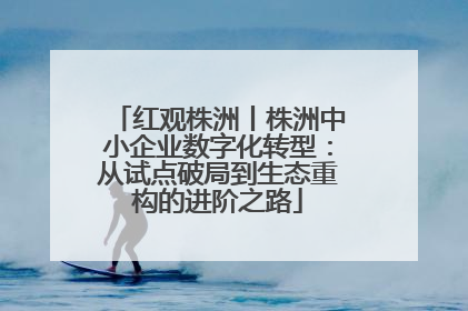 红观株洲丨株洲中小企业数字化转型：从试点破局到生态重构的进阶之路