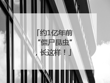 约1亿年前“僵尸昆虫”，长这样！