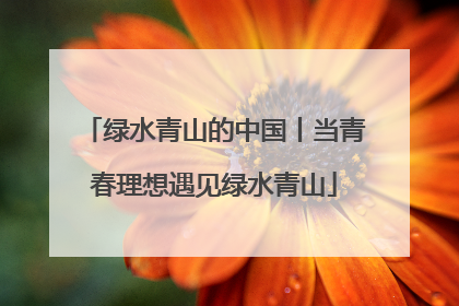 绿水青山的中国丨当青春理想遇见绿水青山