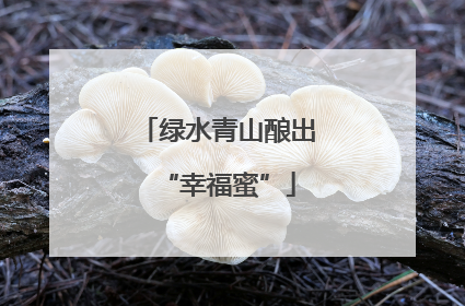 绿水青山酿出“幸福蜜”