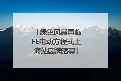 绿色风暴再临 FE电动方程式上海站圆满落幕