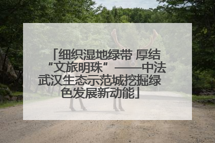 细织湿地绿带 厚结“文旅明珠”——中法武汉生态示范城挖掘绿色发展新动能