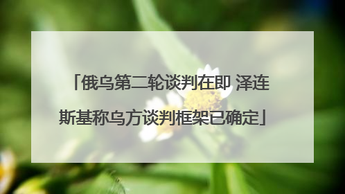 俄乌第二轮谈判在即 泽连斯基称乌方谈判框架已确定