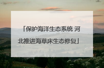 保护海洋生态系统 河北推进海草床生态修复