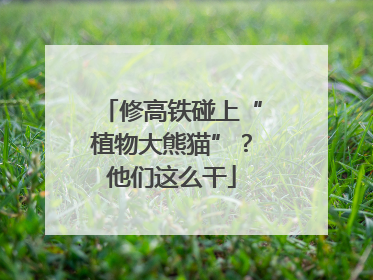 修高铁碰上“植物大熊猫”？他们这么干