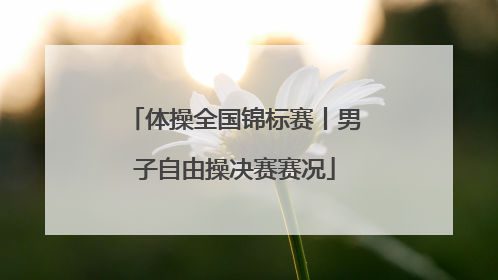 体操全国锦标赛丨男子自由操决赛赛况