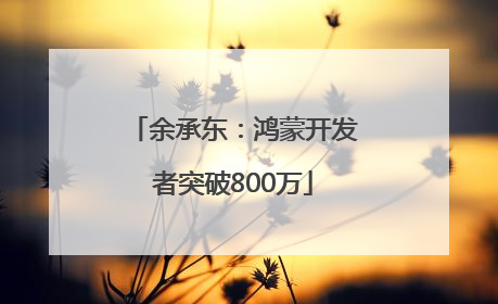 余承东：鸿蒙开发者突破800万