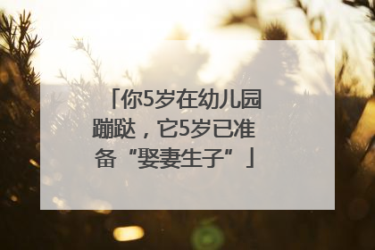 你5岁在幼儿园蹦跶，它5岁已准备“娶妻生子”