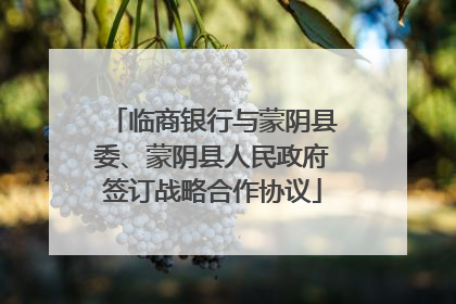 临商银行与蒙阴县委、蒙阴县人民政府签订战略合作协议