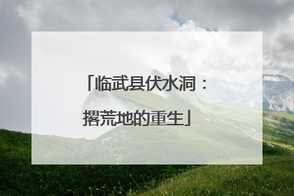 临武县伏水洞：撂荒地的重生