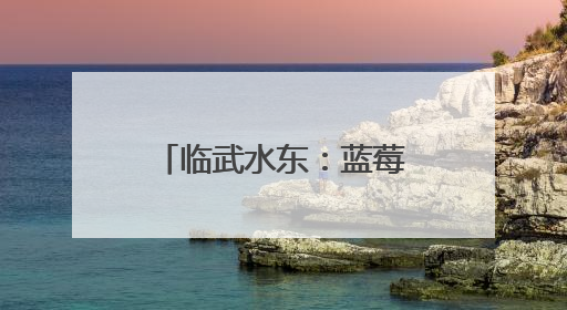 临武水东：蓝莓甜蜜上市 开启“莓”好初夏