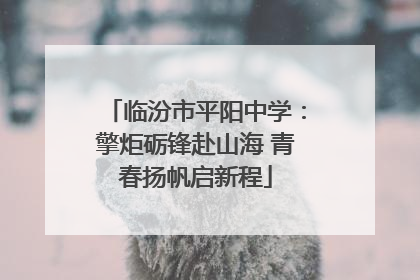 临汾市平阳中学：擎炬砺锋赴山海 青春扬帆启新程