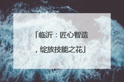临沂：匠心智造，绽放技能之花