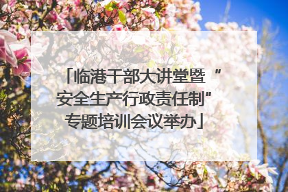 临港干部大讲堂暨“安全生产行政责任制”专题培训会议举办