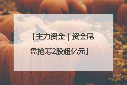 主力资金｜资金尾盘抢筹2股超亿元