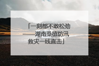 一刻都不敢松劲——湖南桑植防汛救灾一线直击