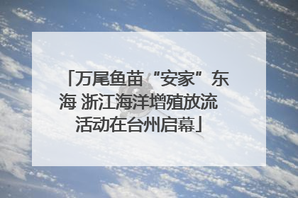 万尾鱼苗“安家”东海 浙江海洋增殖放流活动在台州启幕