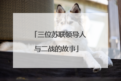 三位苏联领导人与二战的故事