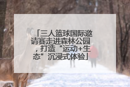 三人篮球国际邀请赛走进森林公园，打造“运动+生态”沉浸式体验